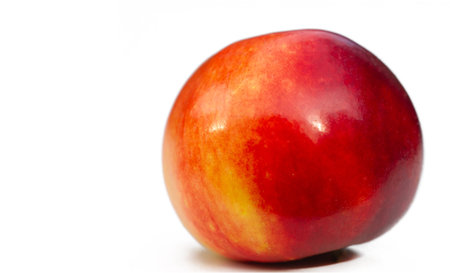 Apple on a white background. Apple tree - an example of true beautyの写真素材