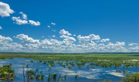 summer photography, a river overgrown with reeds, blue sky with white clouds, blue water covered...