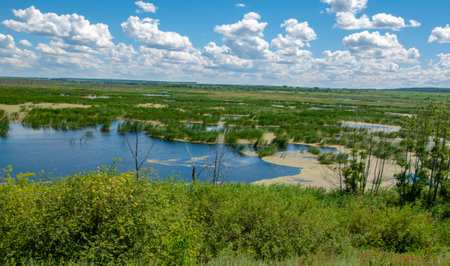 summer photography, a river overgrown with reeds, blue sky with white clouds, blue water covered with duckweed, river floodplain, sultry summer dayの写真素材