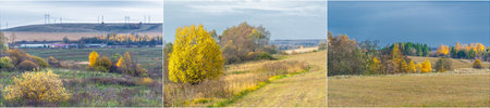 Experience the beauty of autumn with Golden Time Witness the vibrant colors of yellowed leaves Enjoy...