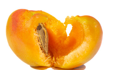 Apricot. A rare heritage variety from England in the early 1800s. The fruits are small to medium and have a very "apricot" flavor. Bright orange flesh, juicy and sweet when ripe, stone.の写真素材