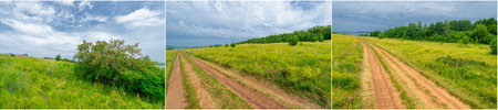 the beauty of European summer landscapes Explore fields.meadows.and ravines in the pictures...