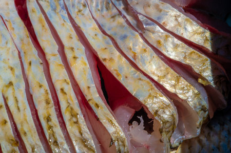 The fish is ready to eat. Fish contains high quality protein and other essential nutrients and is an important part of a healthy diet.の写真素材