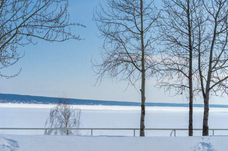 Capture the beauty of winter landscapes Feel the brightness and warmth of a sunny day in the park Focus on the contrast between the bright yellow bench and white snow Highlight the serene atmosphereの写真素材