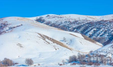 mountains winter and snow. Nothing lives long, Only earth and mountains. If you think you've reached...
