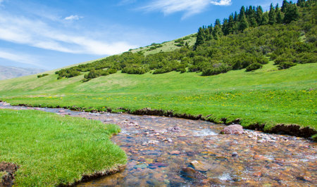 Summer in the mountains. River in the highlands. Summer landscape.の写真素材