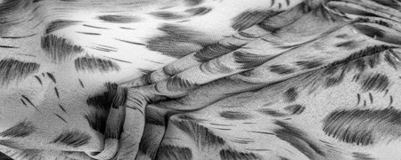 silk fabric in African style black and white. For designer, texture pattern, background collection.の写真素材