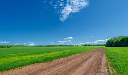 Spring , landscape, dirt road or path made from the earth's surface through which it passesの写真素材