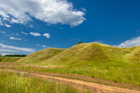 Summer landscape, river floodplain, picturesque shores, bright green grass with wild wildflowers, blue sky with white clouds, summer tender warm days,の写真素材