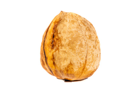 Walnut. Walnuts are the only liquid that tastes good hot or cold.
