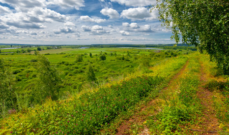 Summer , knoll, hills, birch trees grow on the slopes of the mountains, a winding dirt road along the slope, summer hot daysの写真素材