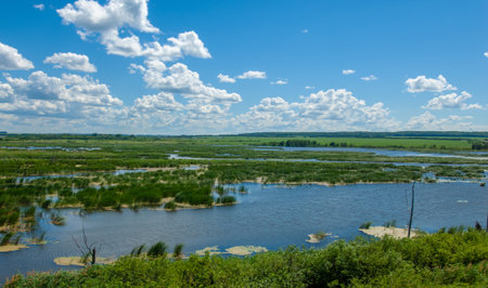 summer photography, a river overgrown with reeds, blue sky with white clouds, blue water covered with duckweed, river floodplain, sultry summer dayの写真素材