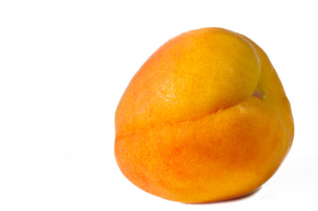 Apricot. Although their own name is Prunus armeniaca, apricots probably come from China, not Armenia. The earliest known records of fruit are from the time of Emperor Yu, around 2200 BC,の写真素材