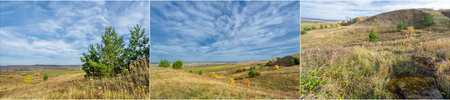 Autumn is the season of transformation and beauty. Yellowing leaves bring warmth and comfort. The...