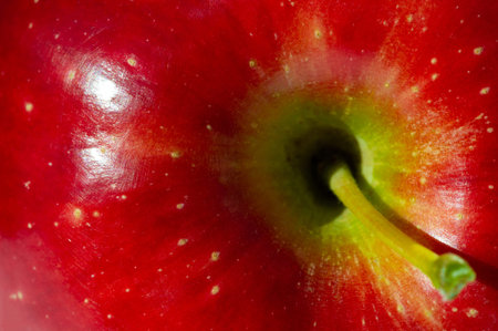Apple on a white background. Apple tree - an example of true beautyの写真素材