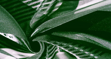 Silk fabric. light transparent silk fabric with stripes of different sizes, green. texture, background, patternの写真素材