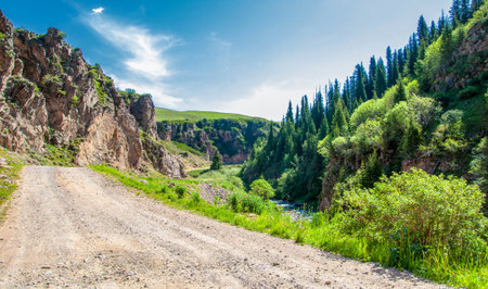 Summer in the mountains. The road laid in the highlands. No mountain has ever come close to me... that's why I always go to themの写真素材