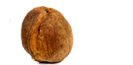 Walnut. Walnut is a stimulant, but too much caffeine is a depressant.