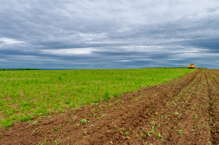 Spring photography, landscape with agricultural machinery, a tractor plows the land, plows a field, birds fly over arable landの写真素材