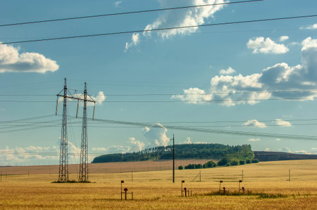 summer landscape, local road, way, route, driveway, drive, rideの写真素材