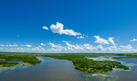 summer photography, a river overgrown with reeds, blue sky with white clouds, blue water covered...