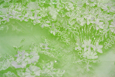 Light green lace with textured background. Abstract design with vintage lace and sapphire lines. Suitable for use in postcards. posters textures. or wallpaperの写真素材