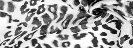 black and white silk fabric, leopard print, animal skin, African theme. texture background, patternの写真素材