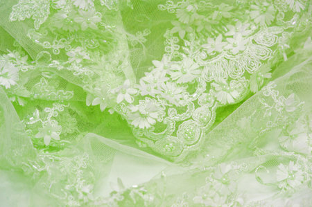 Light green lace with textured background. Abstract design with vintage lace and sapphire lines. Suitable for use in postcards. posters textures. or wallpaperの写真素材