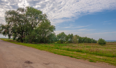 Summer landscape, local road, end of August. European part of the worldの写真素材