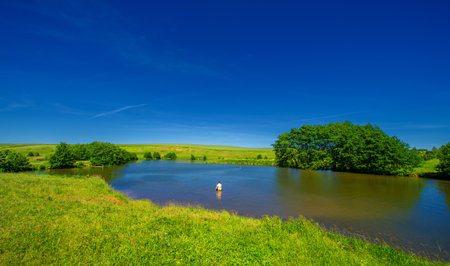 summer landscape, sultry summer days, a lake with warm water, hazel Corylus - living in the temperate northern hemisphere. bushesの写真素材