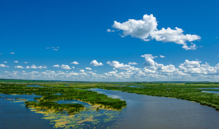 summer photography, a river overgrown with reeds, blue sky with white clouds, blue water covered with duckweed, river floodplain, sultry summer dayの写真素材