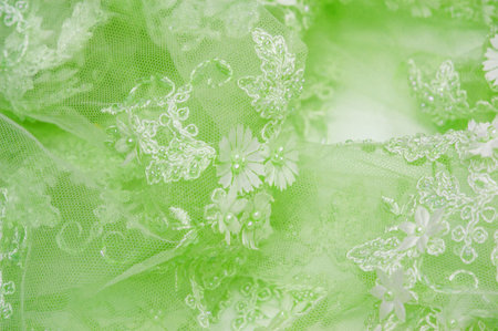Light green lace texture background Abstract background with old lace and sapphire lines Suitable...