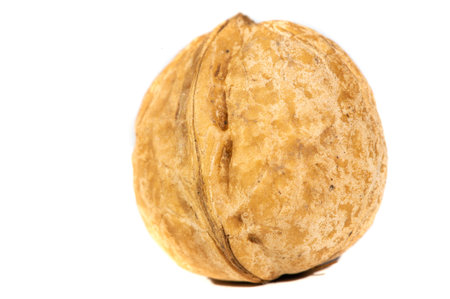 Walnut. Walnut is a stimulant, but too much caffeine is a depressant.の写真素材