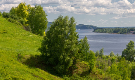 summer photography, mountains, pine, birch, oaks, hills, blue sky with white clouds, dirt road, winds sway among fir trees, bright red strawberries ripenの写真素材