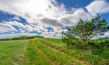 Spring , landscape, dirt road or path made from the earth's surface through which it passesの写真素材