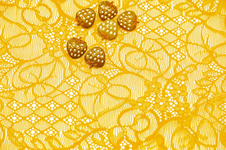 Haute couture embellishment for your design Bright and eye catching royal yellow lace patch Can be used as an accessory or decorative element in fashion designs Adds a unique textural backdropの写真素材