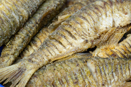 The fish is ready to eat. These are aquatic cold-blooded vertebrates that live both in the sea and...