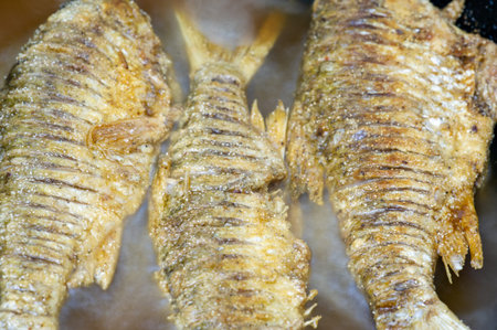 The fish is ready to eat. These are aquatic cold-blooded vertebrates that live both in the sea and...