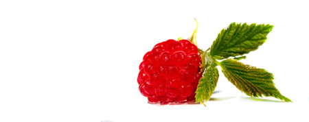 Raspberry. In late summer, native raspberries make their way from the fields to your refrigerator in...