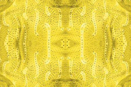 seamless kaleidoscope, yellow silk. A sunny golden yellow silk faucet is all you need for a stylish...