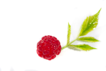 Raspberry. It's time to rejoice - it's finally raspberry season. There is something magical about...