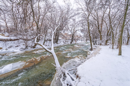 The river freezes in winter. In winter, the river turns into a real wonderland, and if you have...