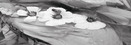 seamless. the black and white colors of the fabric are inlaid with flora and fauna. dressの写真素材