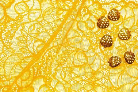 Haute couture embellishment for your design Bright and eye catching royal yellow lace patch Can be...