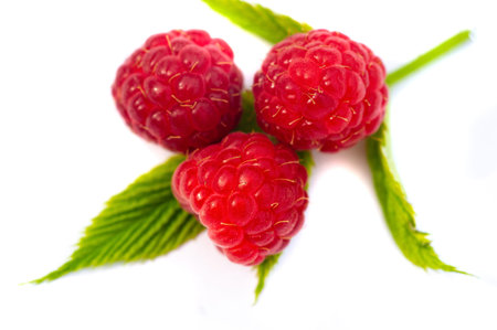 Raspberry is juicy and perfect for your most fruity mood. Give some joy to your table. Surprisingly...