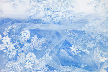 Light blue lace with textured background Abstract design with pale blue stem. Old lace. Sapphire lines Ideal for use in postcards, posters, textures or wallpapers.の写真素材