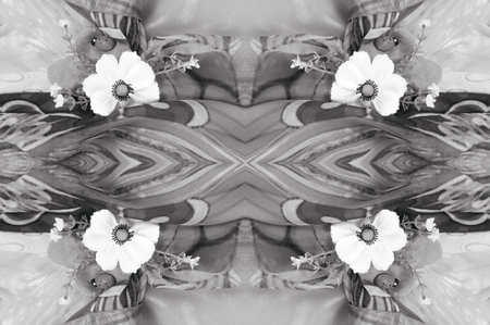 seamless. the black and white colors of the fabric are inlaid with flora and fauna. dress i love my money right where i can see it... hanging in my closetの写真素材