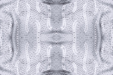 Seamless kaleidoscope. The fabric is silky white and gray. An ultra-modern print and a delicate, airy quality combine in this chiffon with an abstract silk print.の写真素材