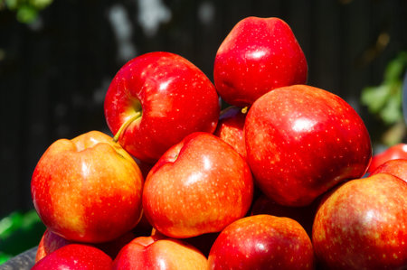 A close-up view of several red apples on a white background. The apples are ripe and ready to eat.