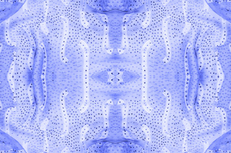seamless kaleidoscope, blue silk. Rest - at any time of the day! - Lining your projects with our...